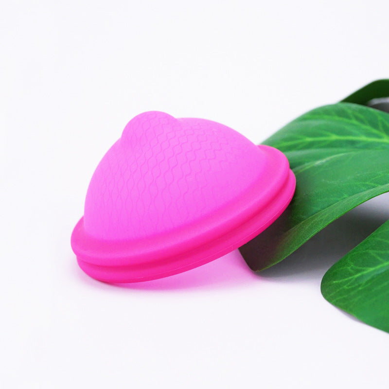 Femmora Menstruationsscheibe